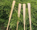 greenland_paddle_04