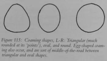 greenland_coaming_bending_form